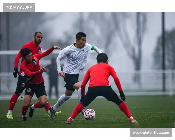 延边龙鼎防守稳健 失球数联赛第二少成赛季亮点 延边龙鼎防守稳健 失球数联赛第二少成赛季亮点